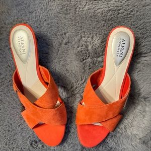 Alfani, 10, Persimmon